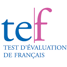 Learn TEF Exam with Us